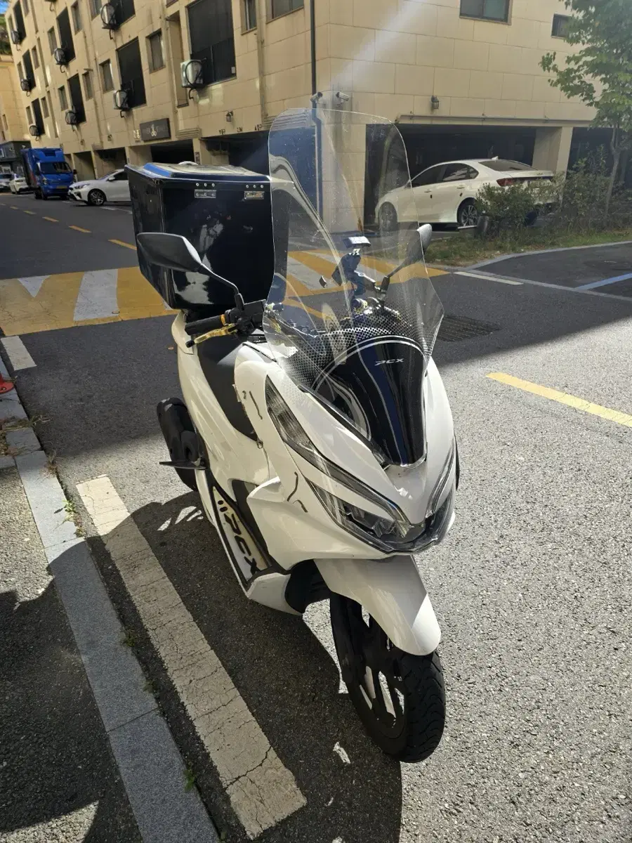 pcx 2019년식