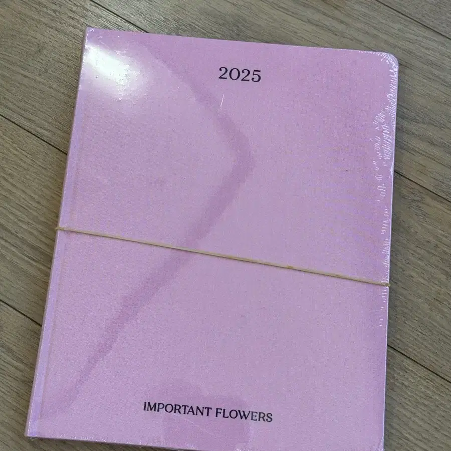 소피아 코폴라 다이어리 플래너 2025