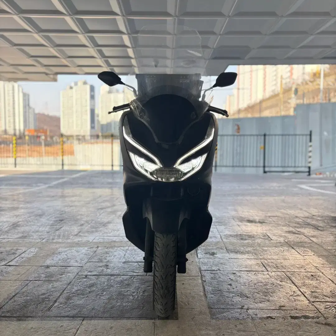 pcx125 19년식 (배달세팅o,기본정비o)