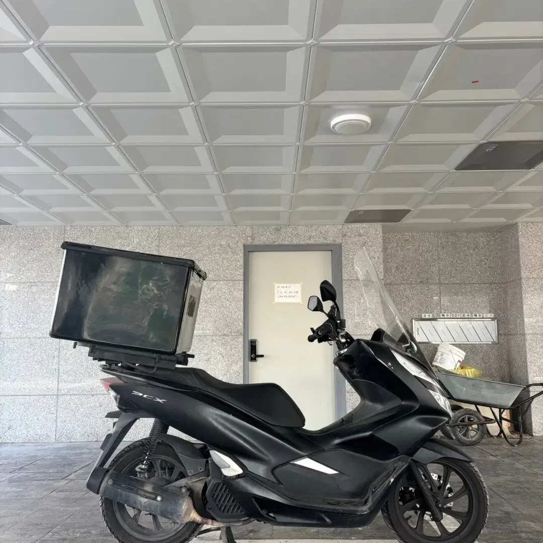 pcx125 19년식 (배달세팅o,기본정비o)