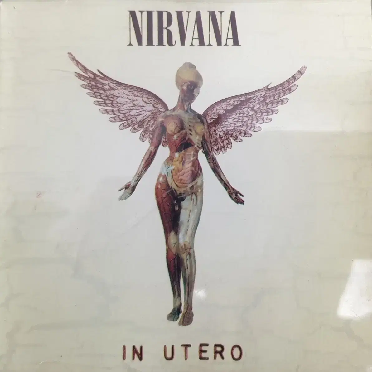 너바나 NIRVANA IN UTERO CD