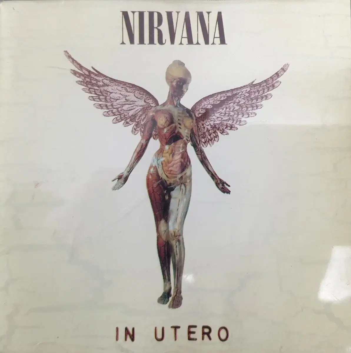 너바나 NIRVANA IN UTERO CD