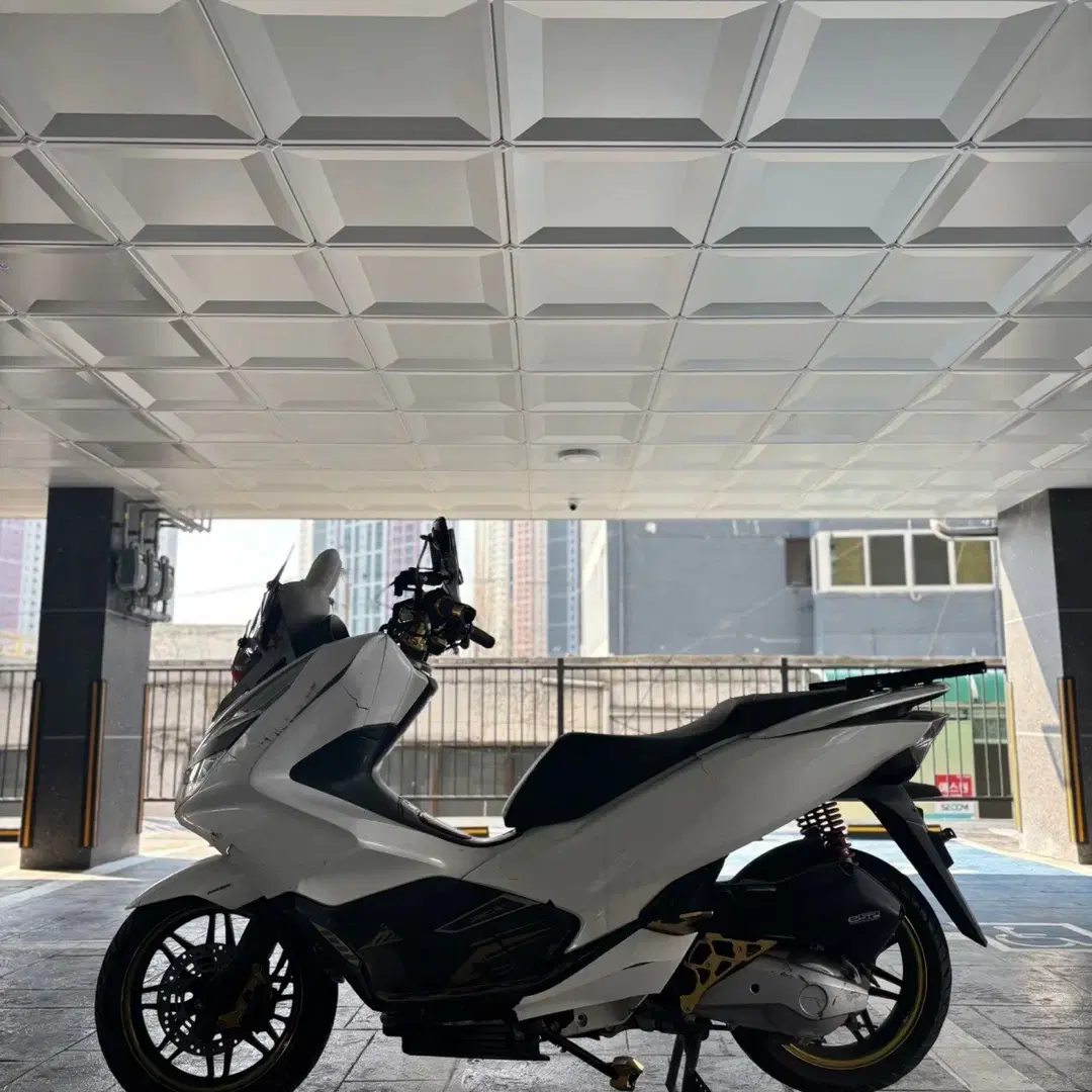 pcx125 19년식 (짧은키로수,세미튜닝)