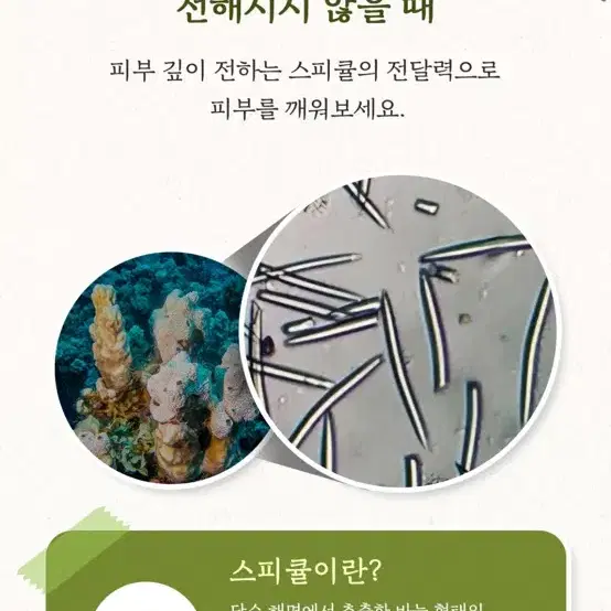 새상품)스킨푸드 아스파라거스 글루타치온 스피큘 세럼