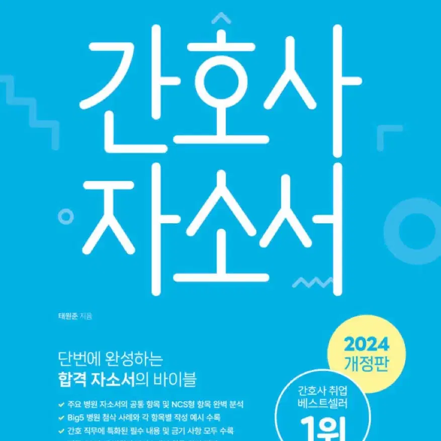 홍지문 자소서 파랑이 pdf