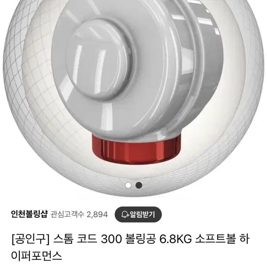 스톰 코드 300