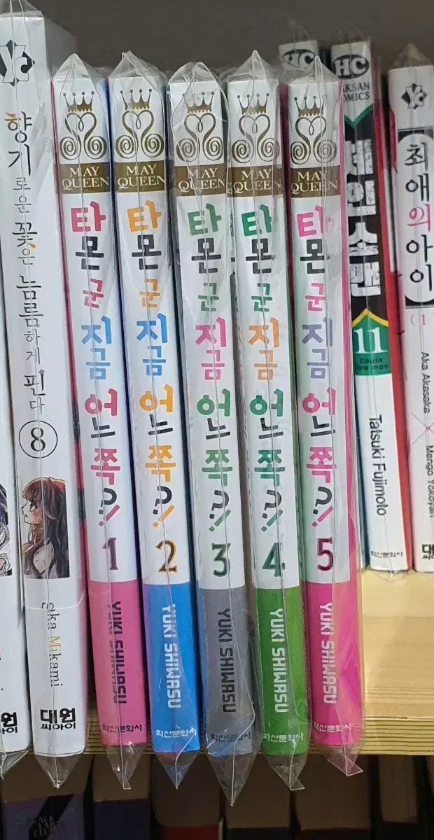 타몬군 지금 어느쪽?! 1-5권 팔아요