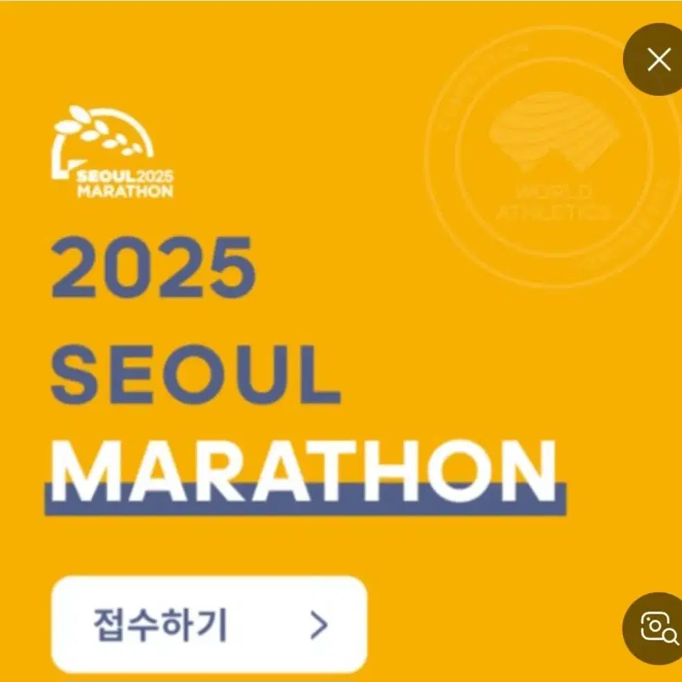 2025 동아마라톤 10k 구합니다.