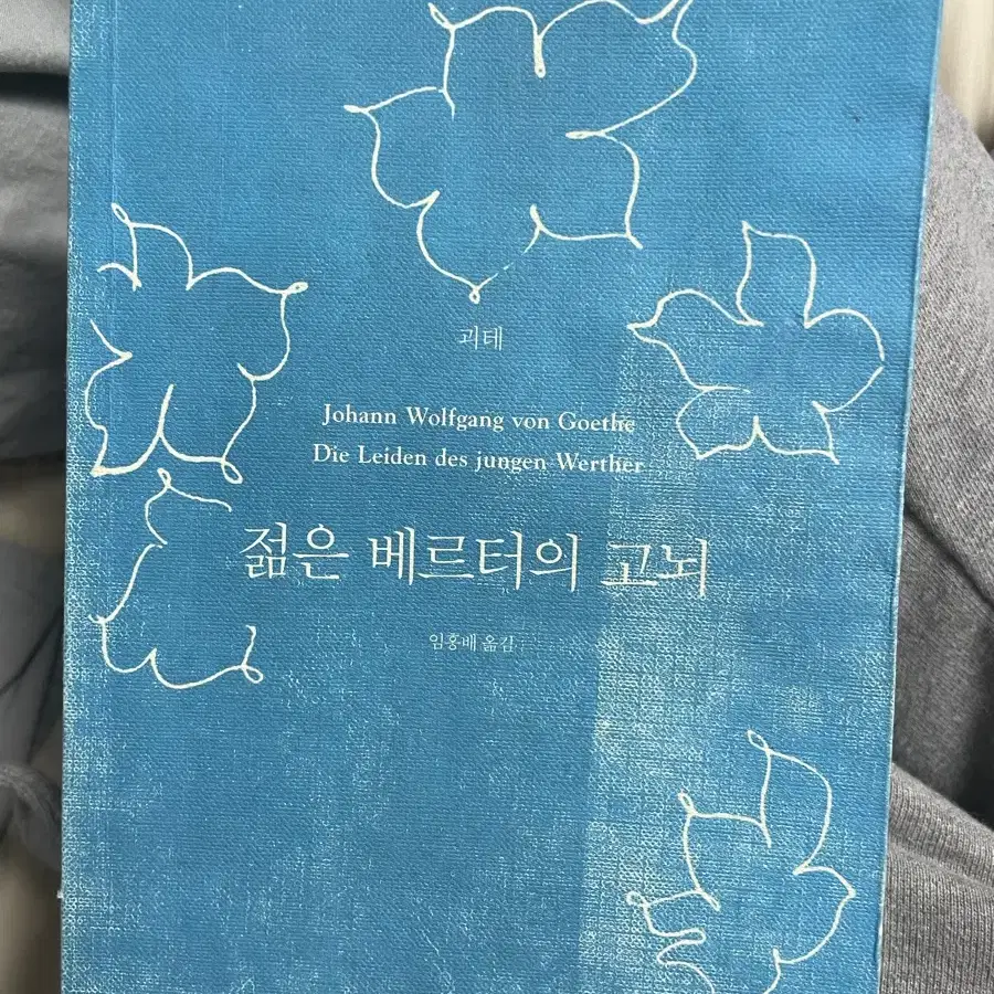 도서 / 젊은 베르터의 고뇌 (요한 볼프강 폰 괴테 - 임홍배, 창비)