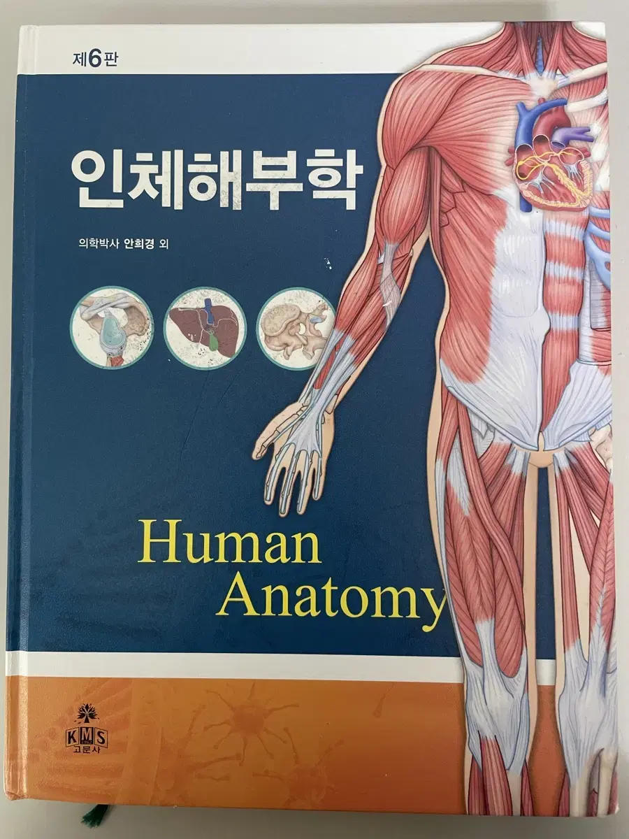 고문사 인체해부학 6판