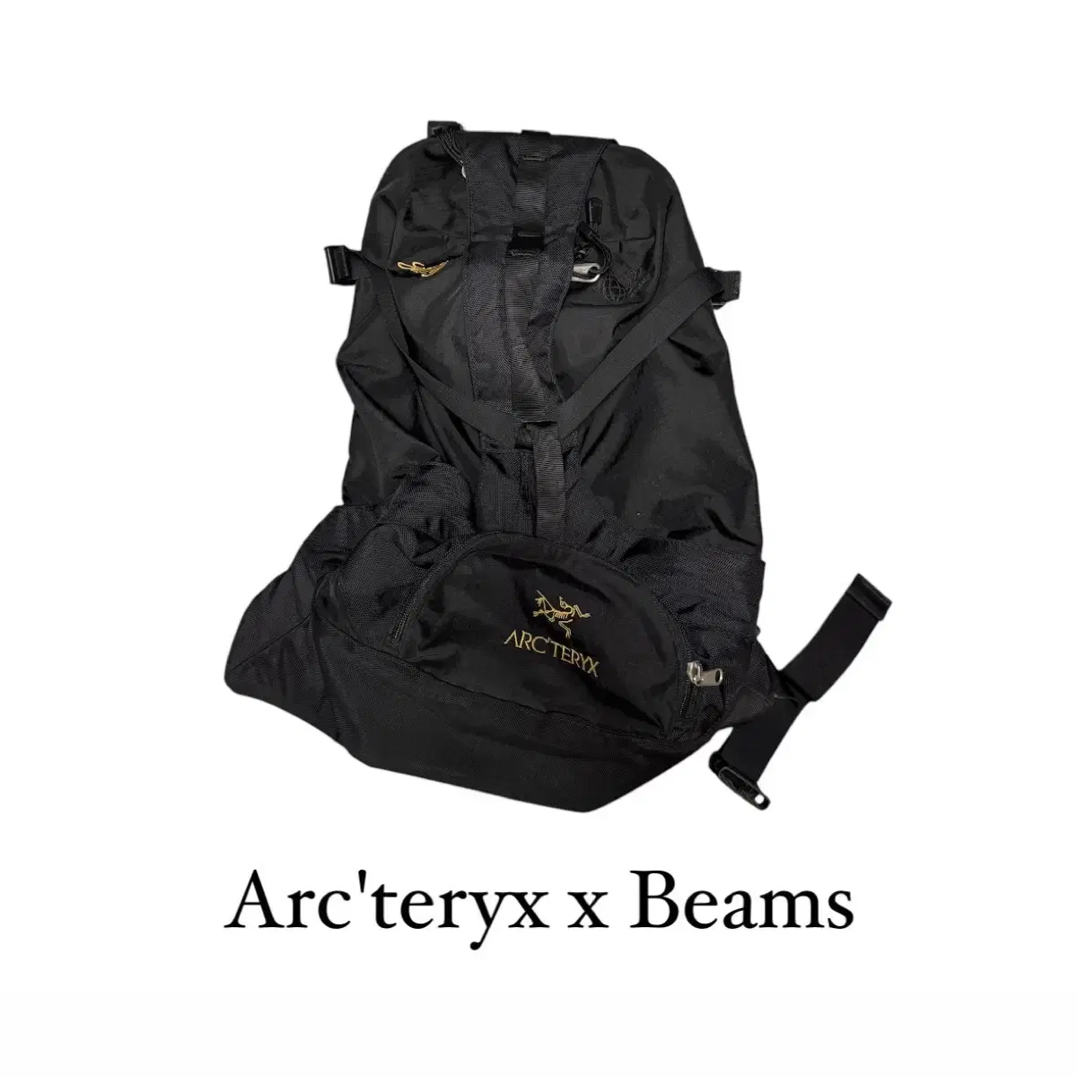 아크테릭스 빔즈 세브링 백팩 arcteryx