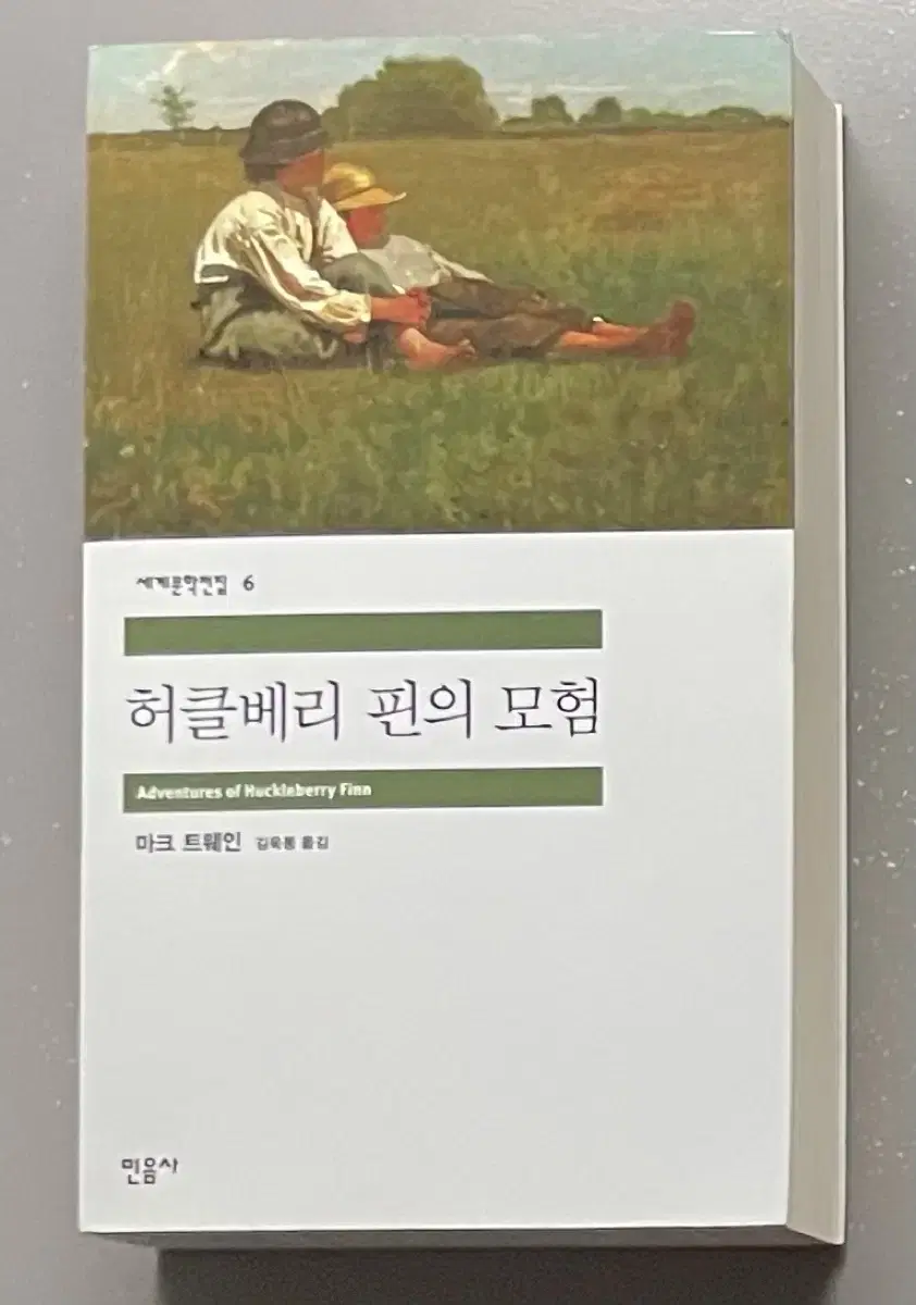 허클베리 핀의 모험