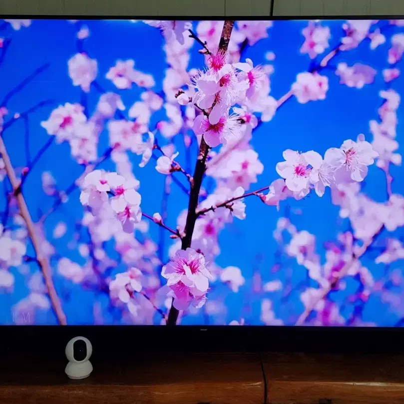 삼성전자 82인치 PREMIUM 4K UHD Quantum Dots