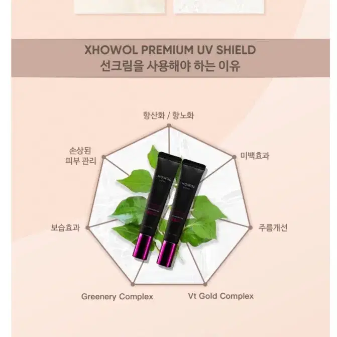 XHOWOL 프리미엄 UV SHIELD SUN PROTECTION 선크림