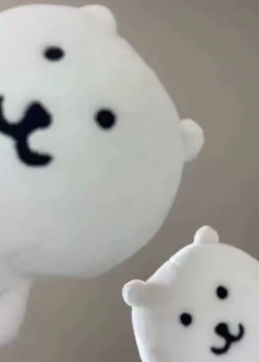 농담곰 싸게 팔아요