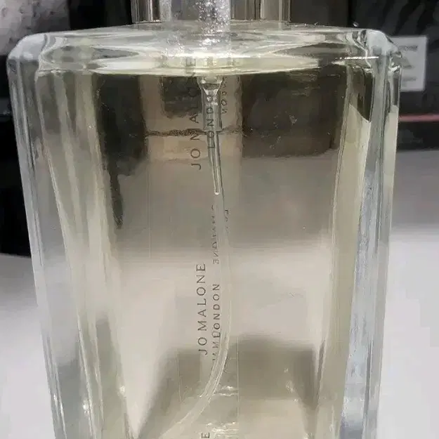 무배/ 새상품 / 조말론 미모사 앤 카다멈 코롱 100ml