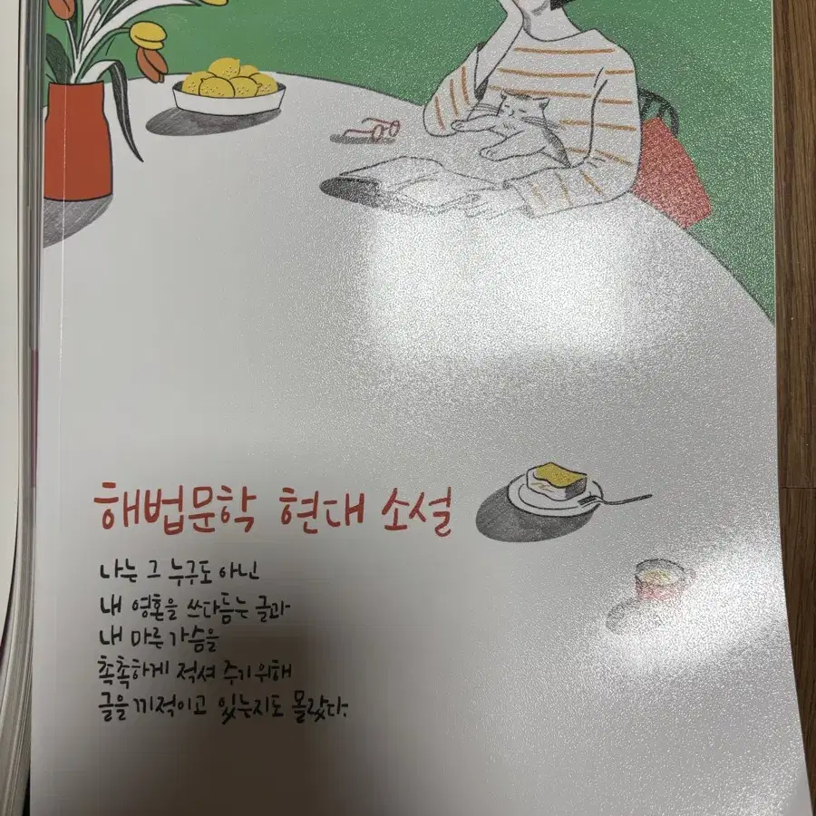 해법문학 현대시 현대소설 고전산문 양도