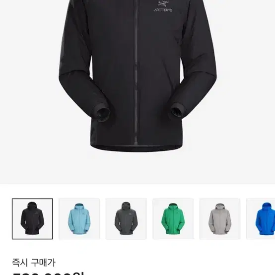 Fw23 아크테릭스 아톰 LT s