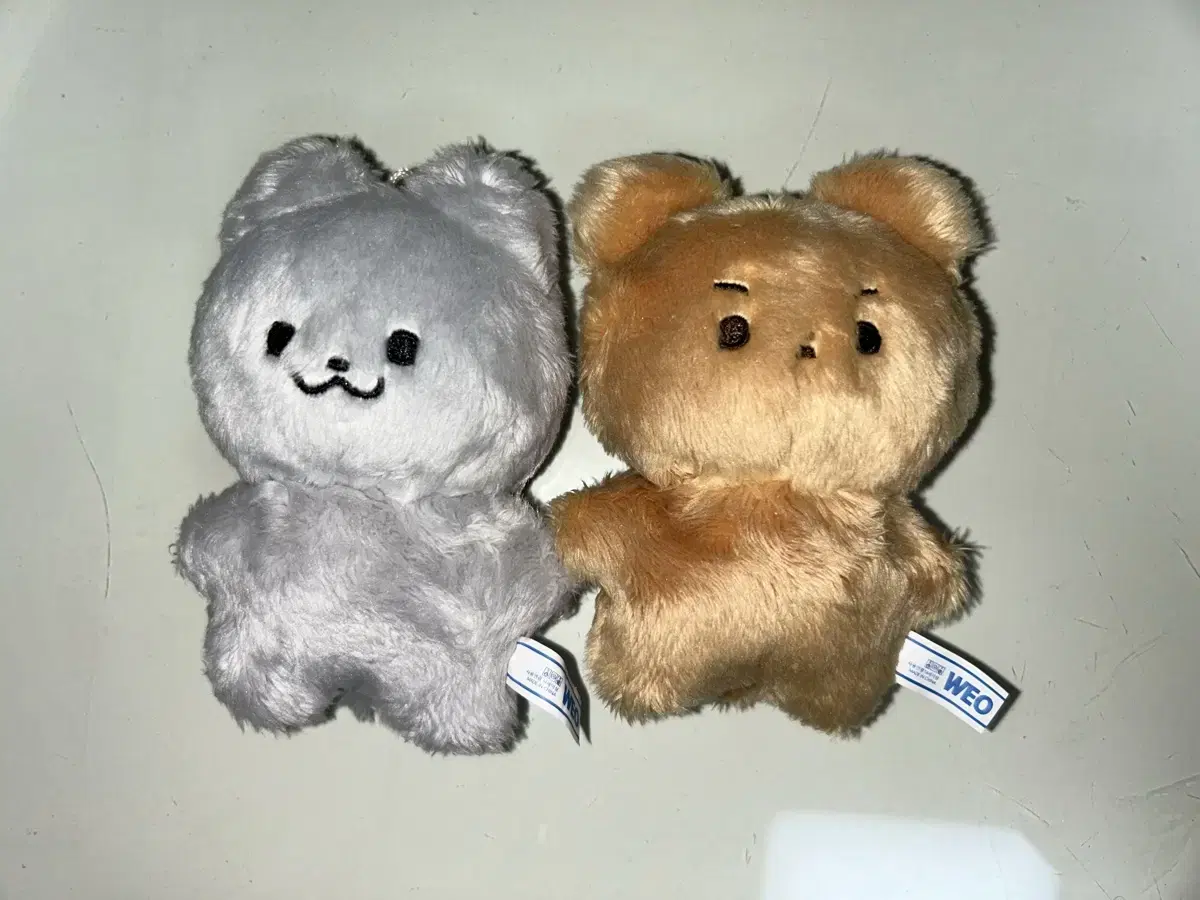 달곰쥬냥 더보이즈 10cm 인형 주연 현재