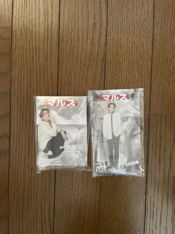 미치에다 슌스케 마르스