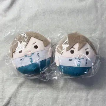 니쿠치 켄지 후와코로린 하이큐