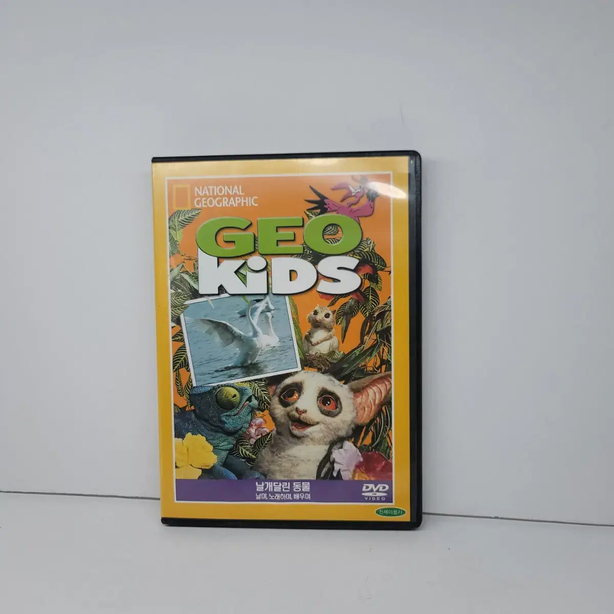 [희귀] 네셔널지오그래픽 geokids 날개달린동물 dvd