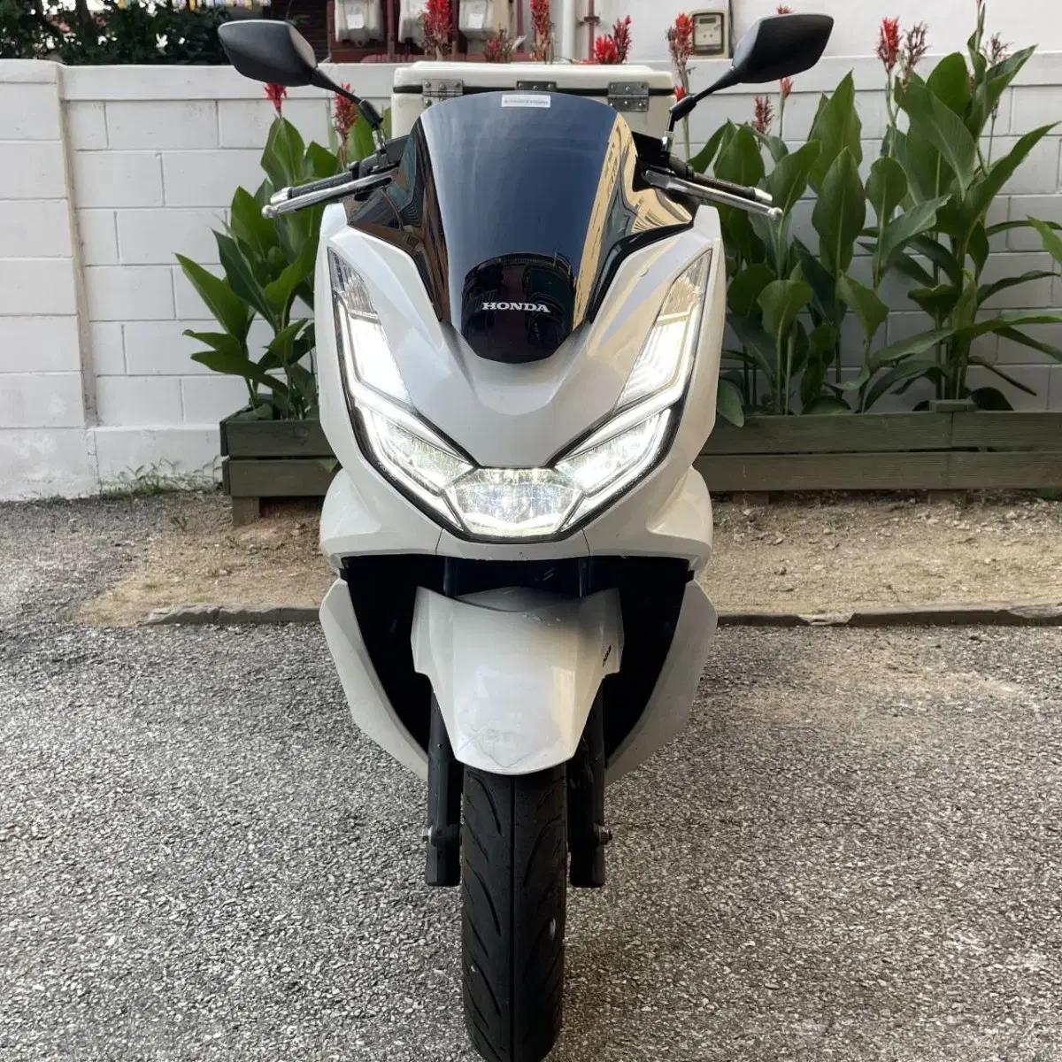 Pcx125 ABS탑재 모델 22년식 신차급 바이크판매