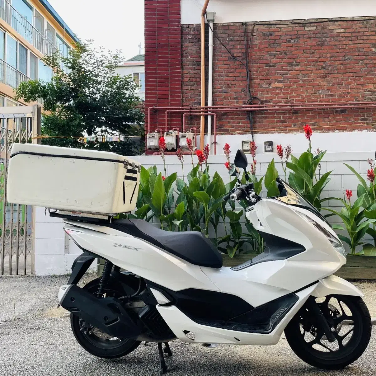 Pcx125 ABS탑재 모델 22년식 신차급 바이크판매