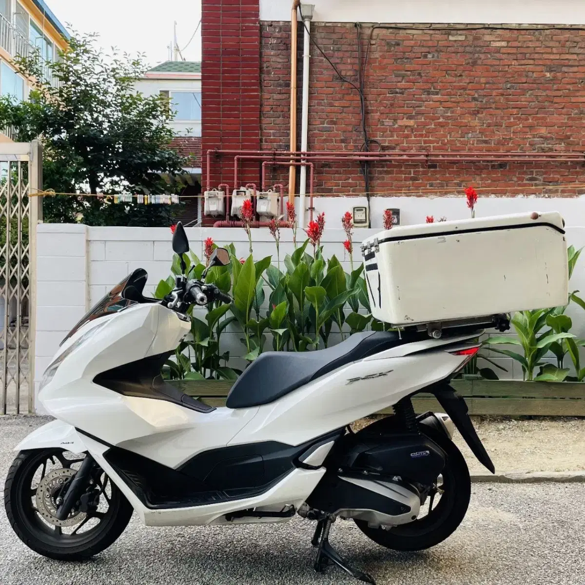 Pcx125 ABS탑재 모델 22년식 신차급 바이크판매