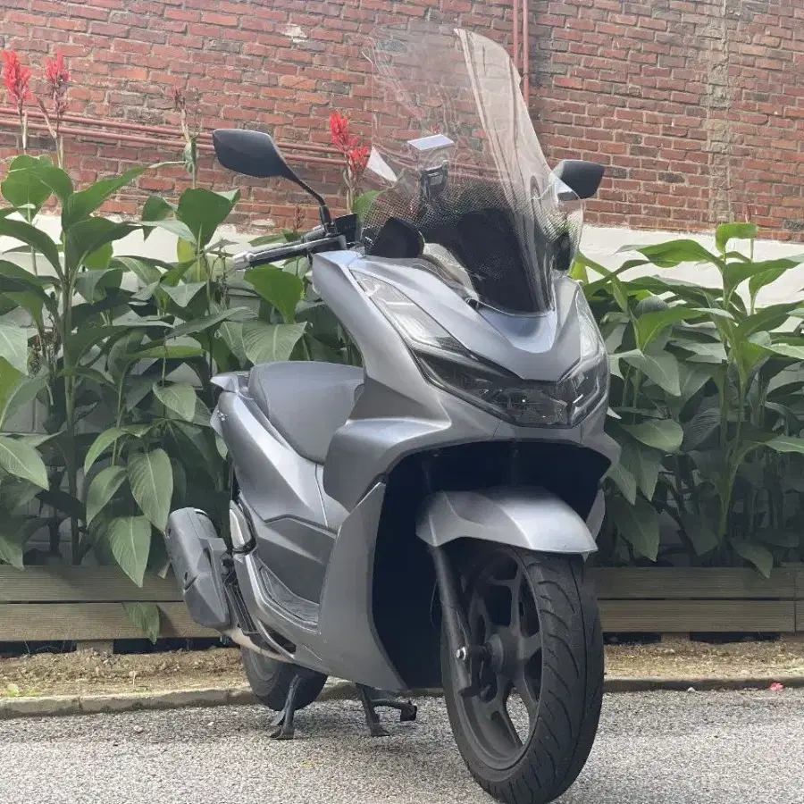 Pcx125ABS 22년식 2만키로 바이크판매