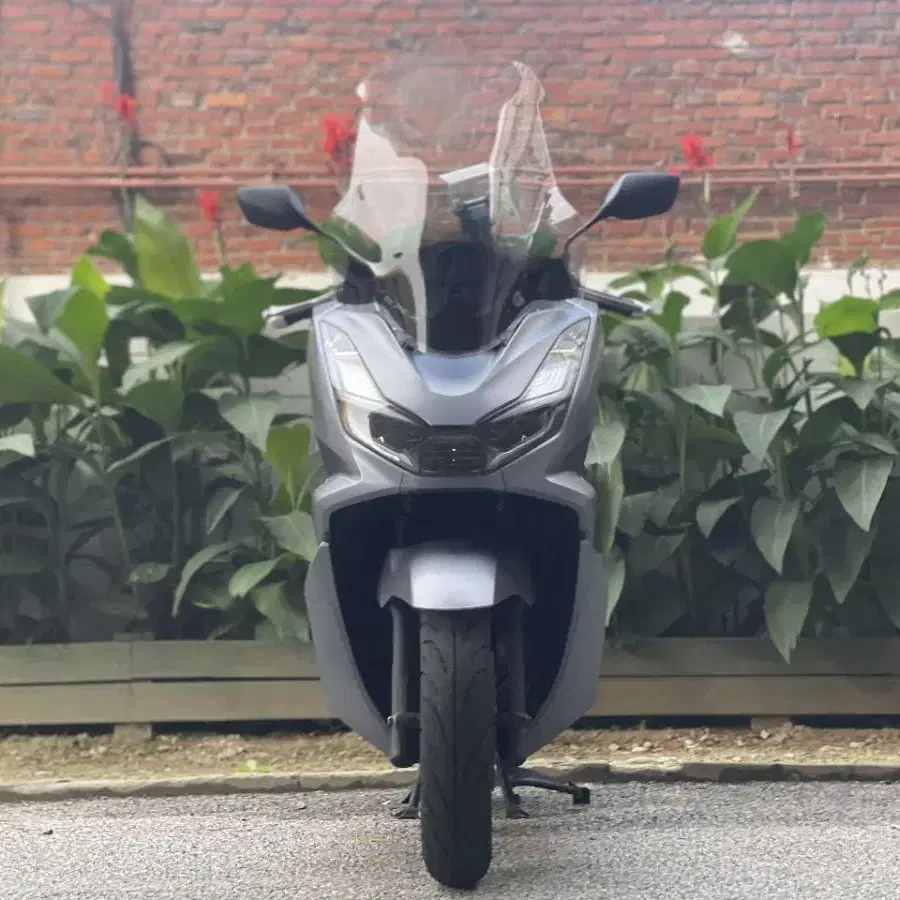 Pcx125ABS 22년식 2만키로 바이크판매