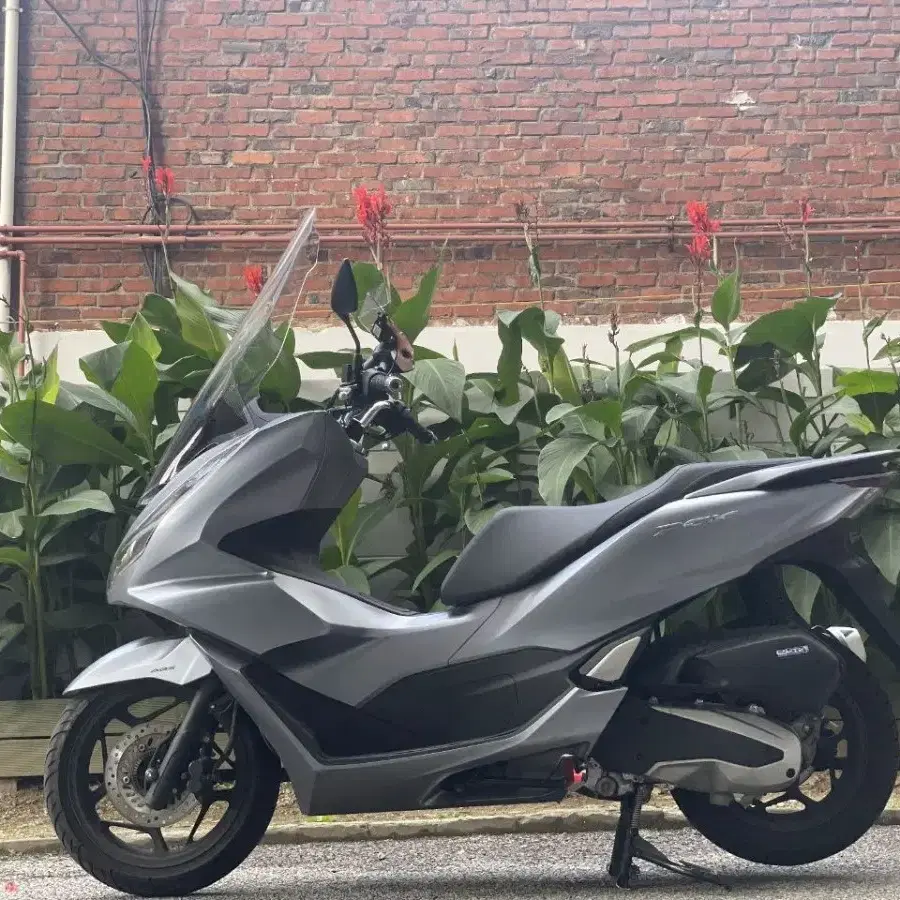 Pcx125ABS 22년식 2만키로 바이크판매