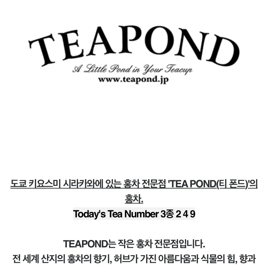 일본홍차브랜드 티폰드 TEAPOND 3종Todays Tea Number