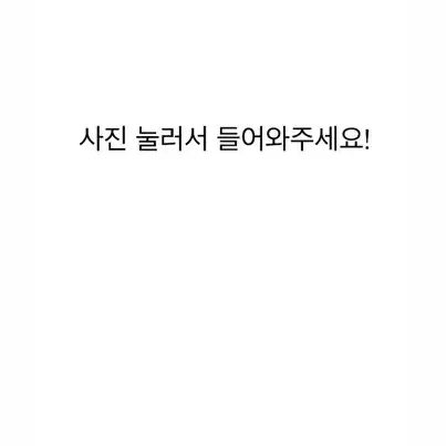 사카모토데이즈 나츠키 신 디오라마 잡지 미개봉 일괄