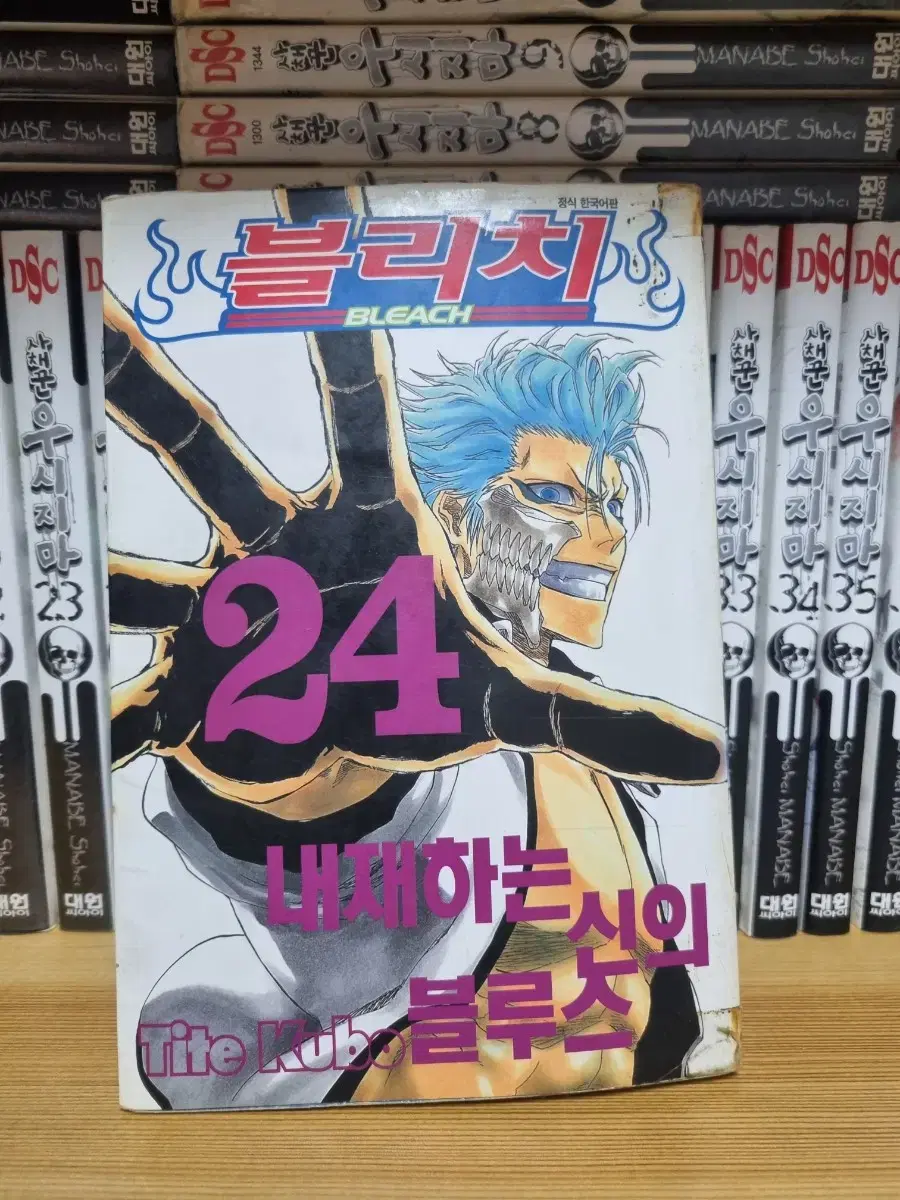 블리치 만화책 24권