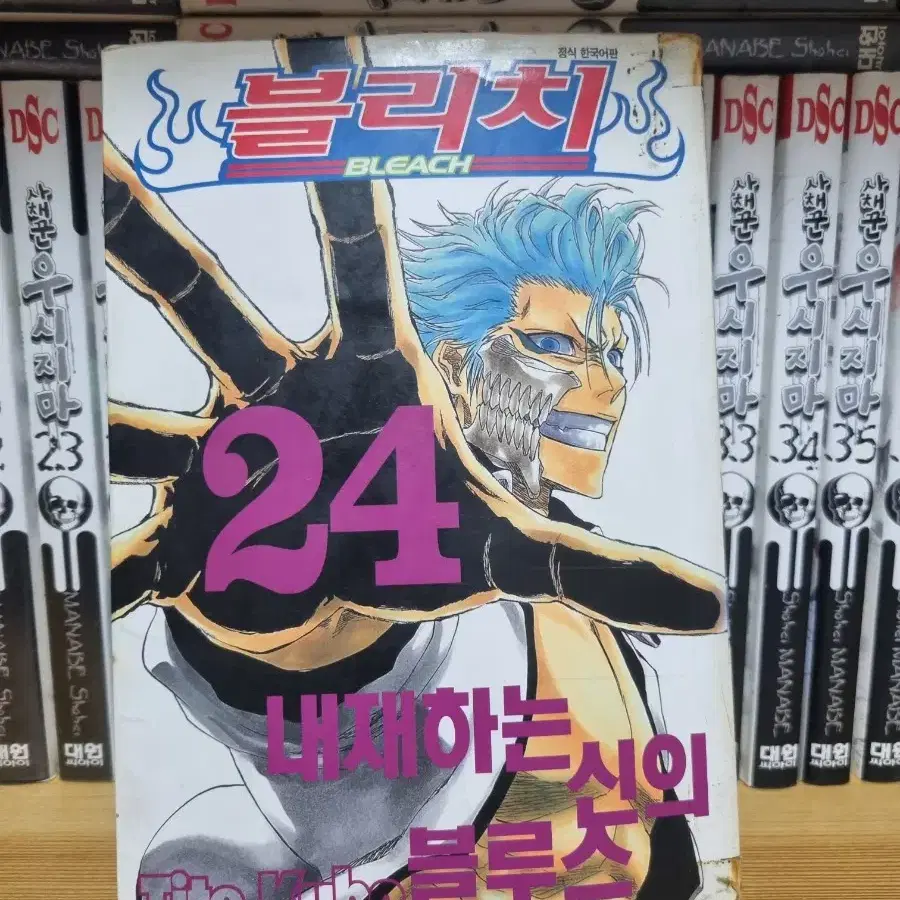 블리치 만화책 24권