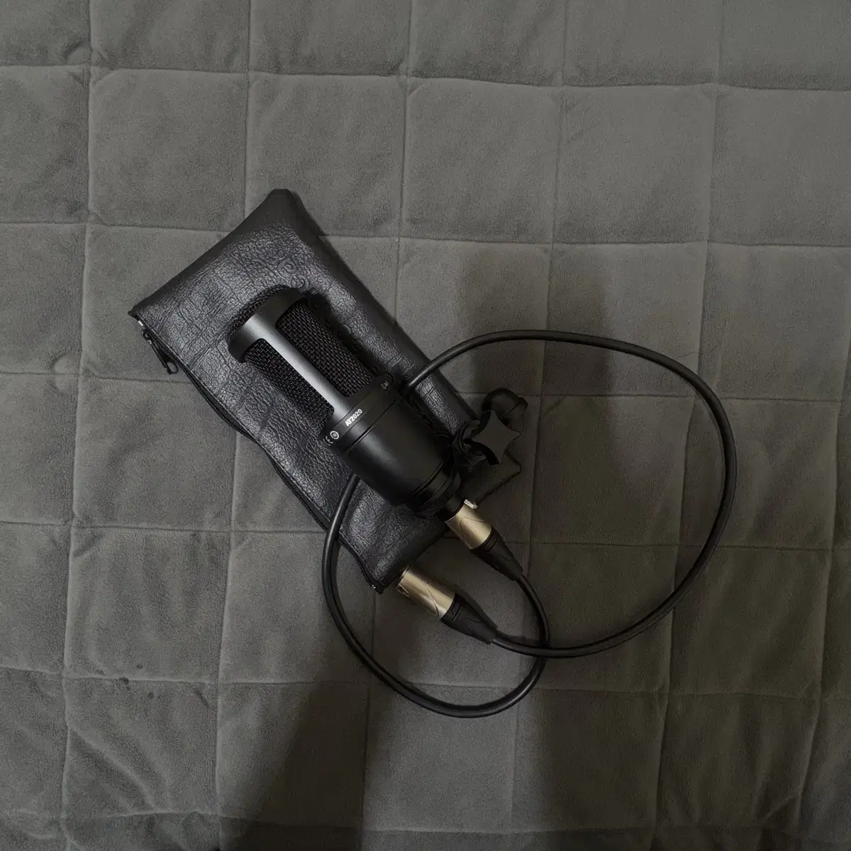 Audio-Technica AT2020 condenser microphone
