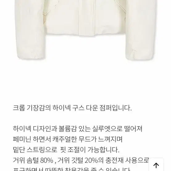 레이브 하이넥 구스다운