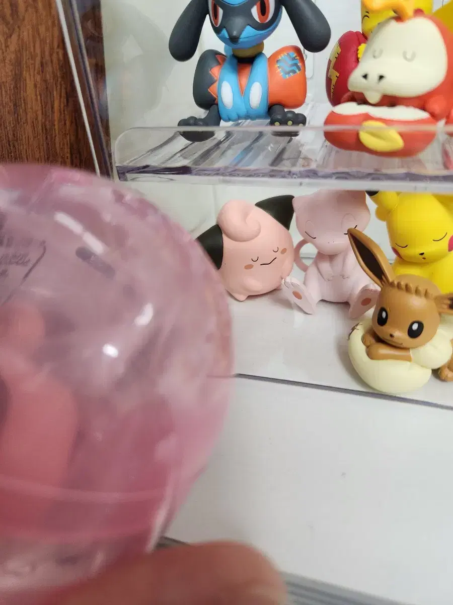 Pokémon shoulder-thump gacha pips