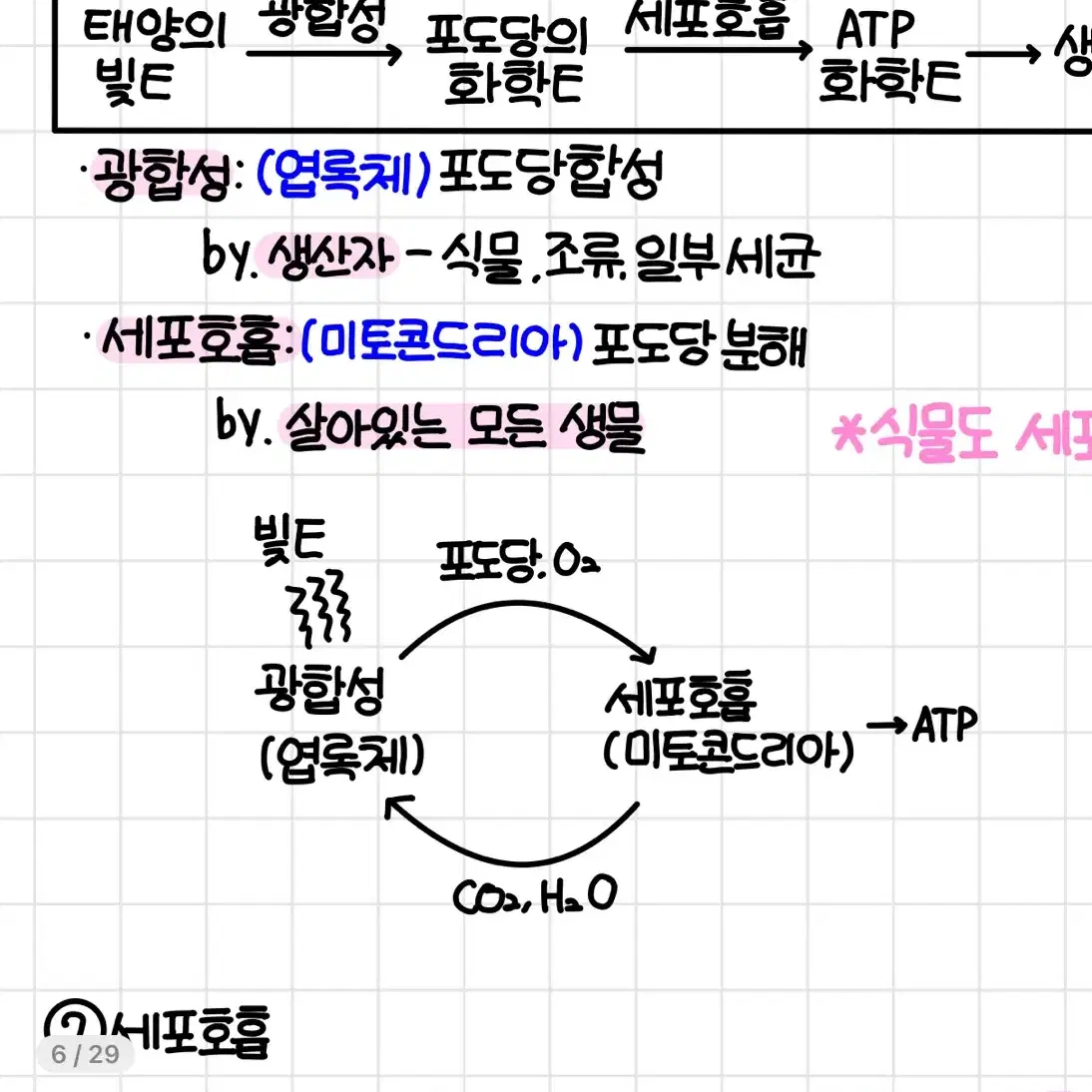 생명과학 1등급 필기 1단원 생명과학의 이해, 2단원 사람의 물질대사