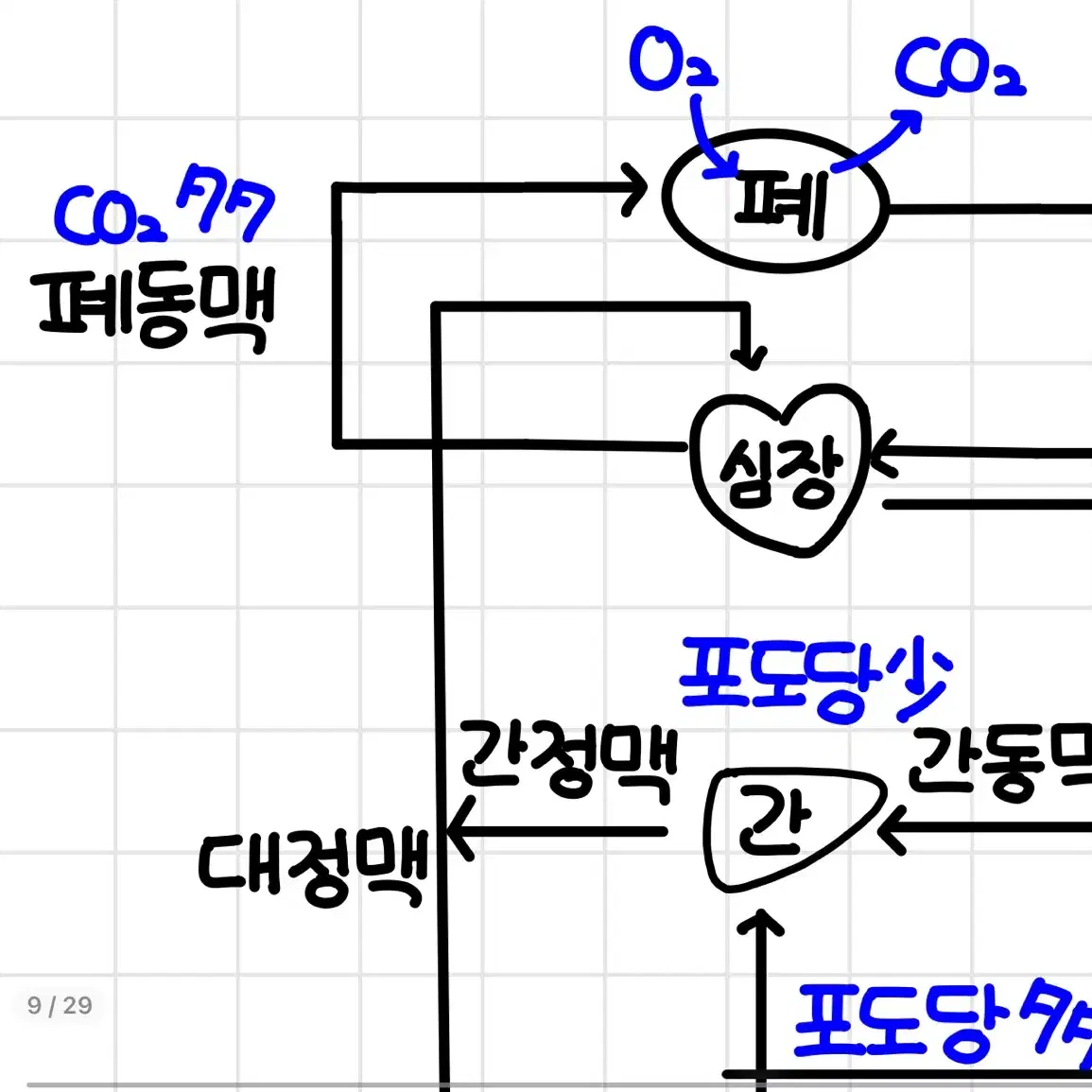 생명과학 1등급 필기 1단원 생명과학의 이해, 2단원 사람의 물질대사