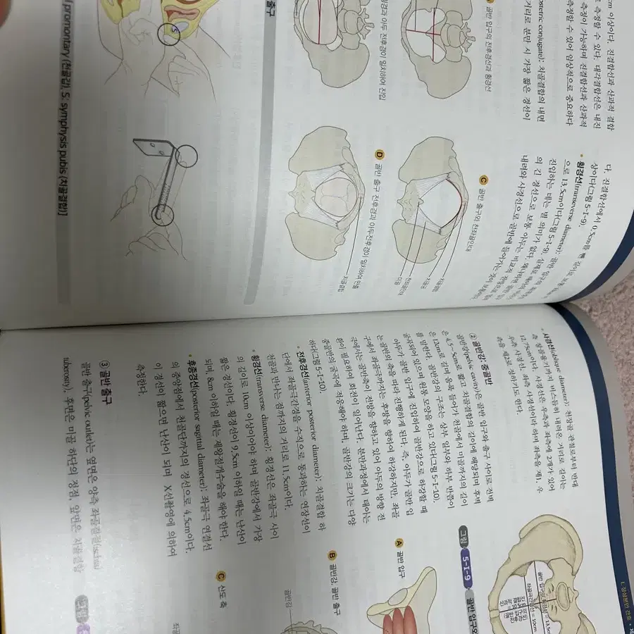 여성건강간호학 1,2권 수문사