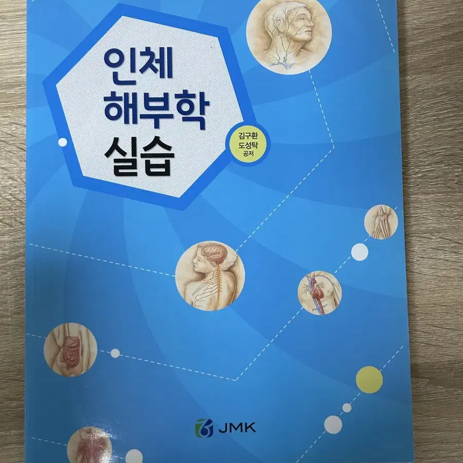 인체 해부학 실습