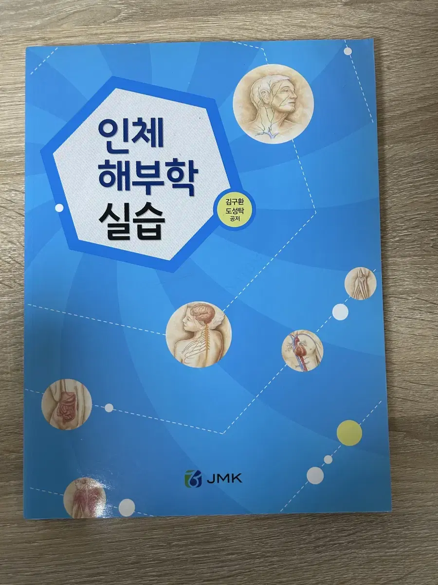 인체 해부학 실습