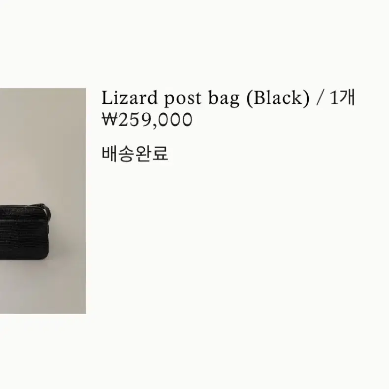 낫띵리튼 Lizard post bag - black