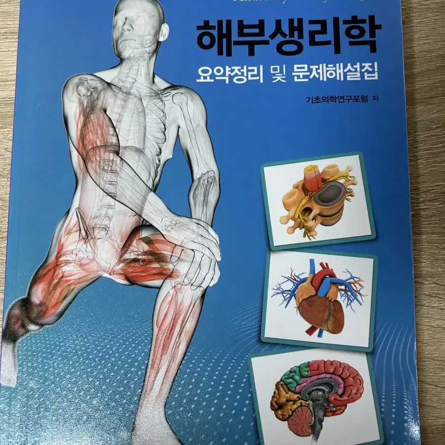 해부생리학 요약정리 문제집