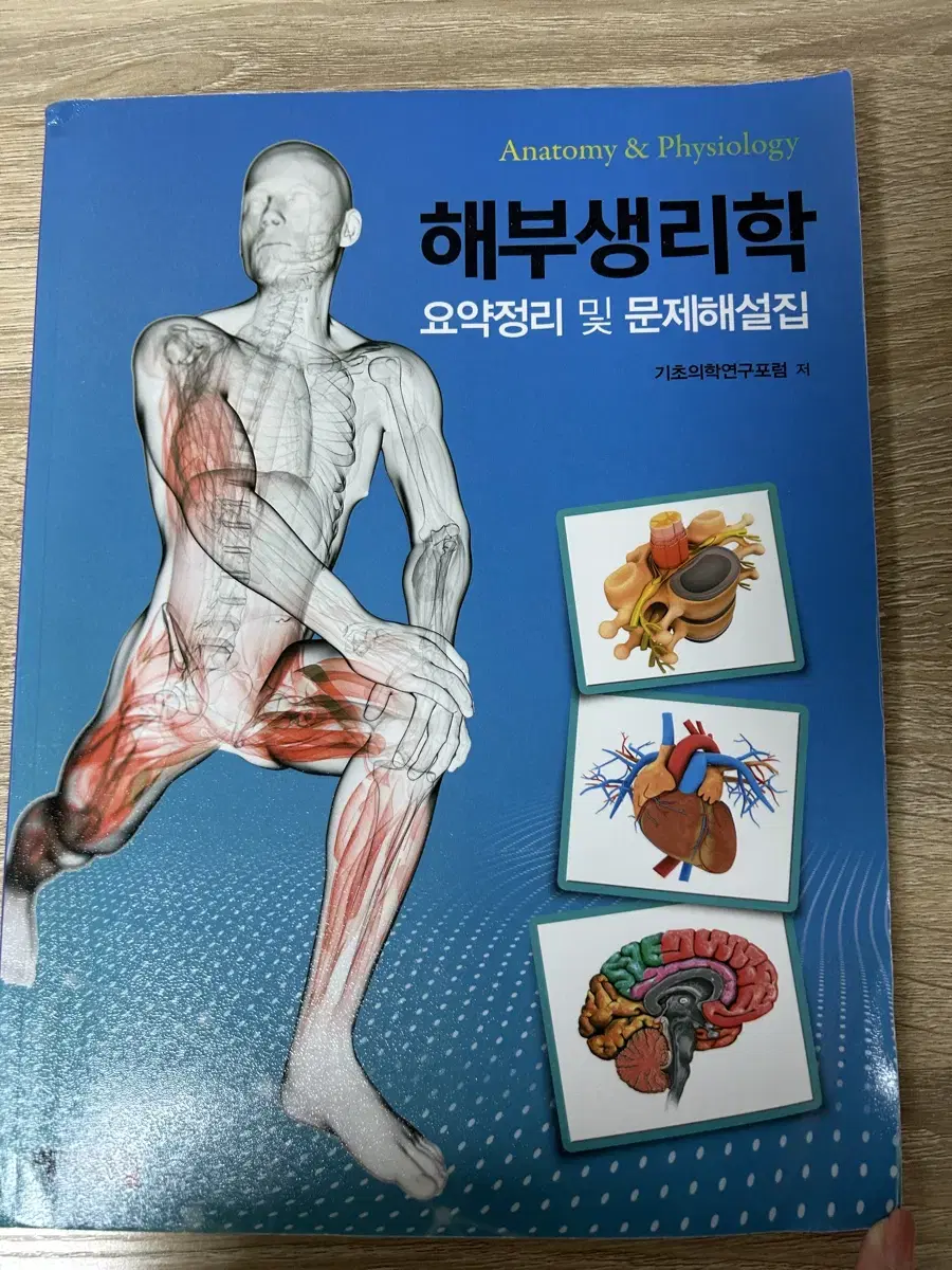 해부생리학 요약정리 문제집