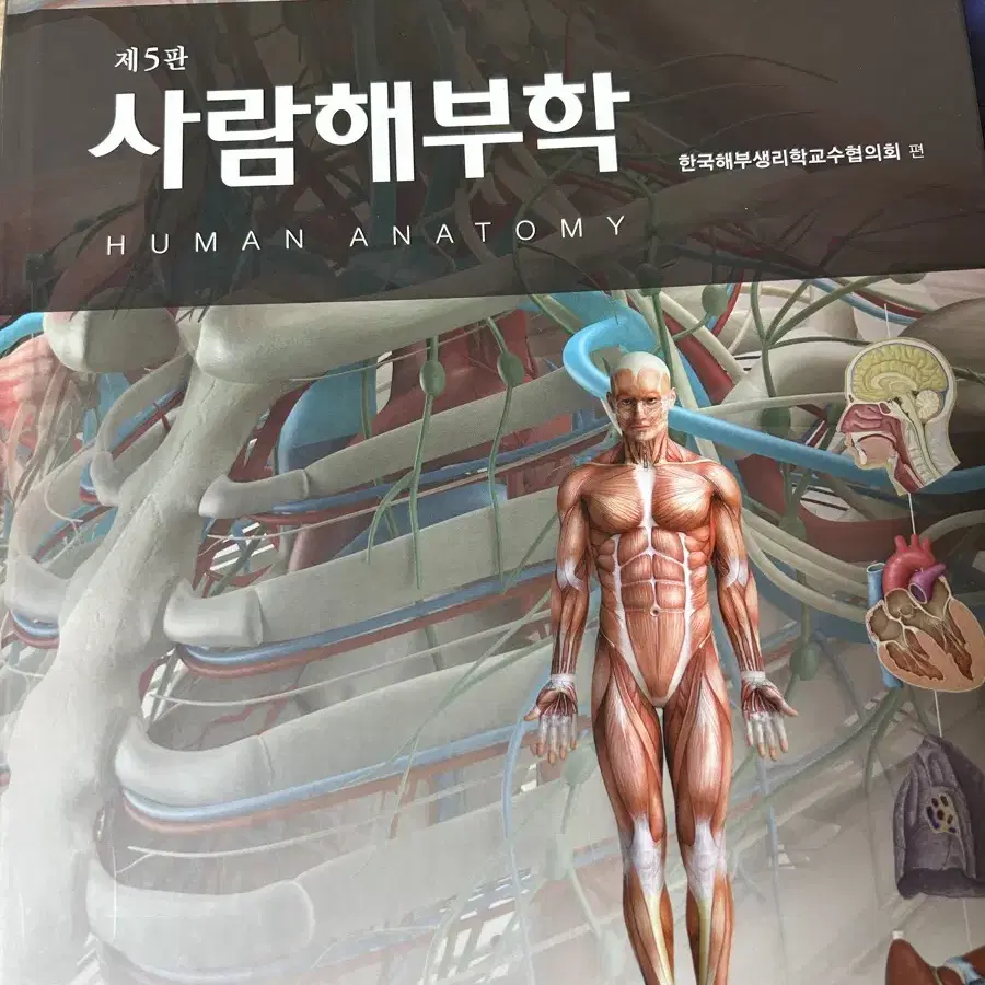 사람해부학 현문사