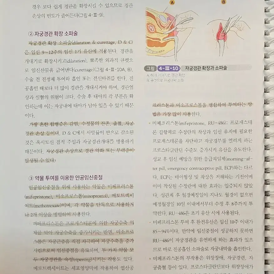 모성간호학(여성건강간호학)1,2 합쳐서