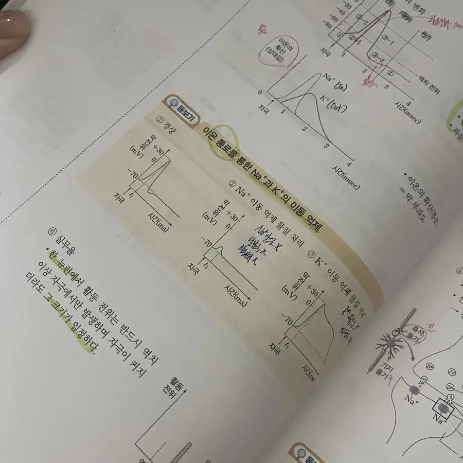 메가 백호T 섬개완 2026 교재